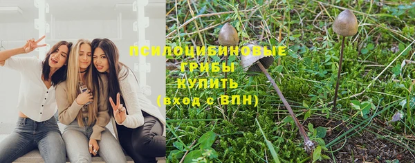 дурь Алексеевка