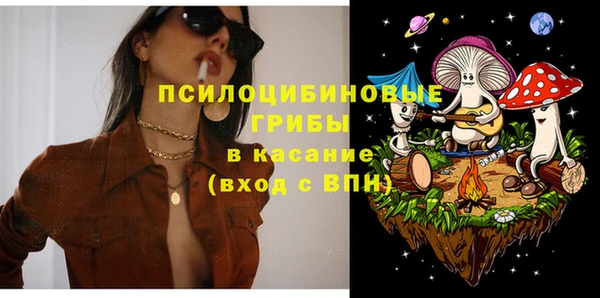 дурь Алексеевка