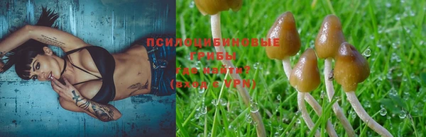 дурь Алексеевка